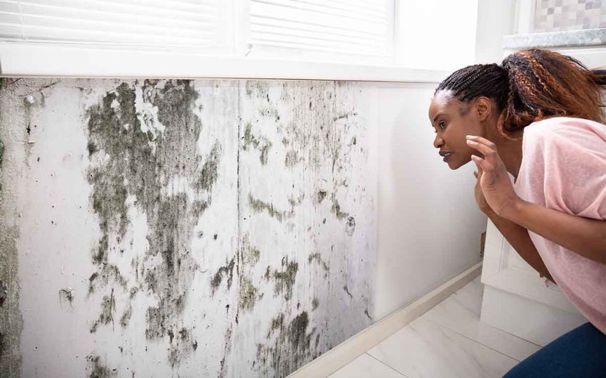 How to Get Rid of Mould in Bedroom: Ultimate Guide